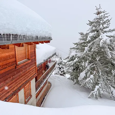 Sainfoin Alpesi faház Verbier