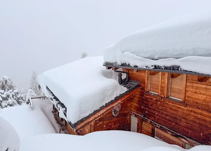 Sainfoin * 韦尔比耶