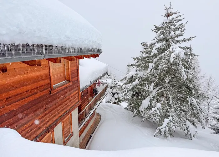 Sainfoin Chalet Verbier